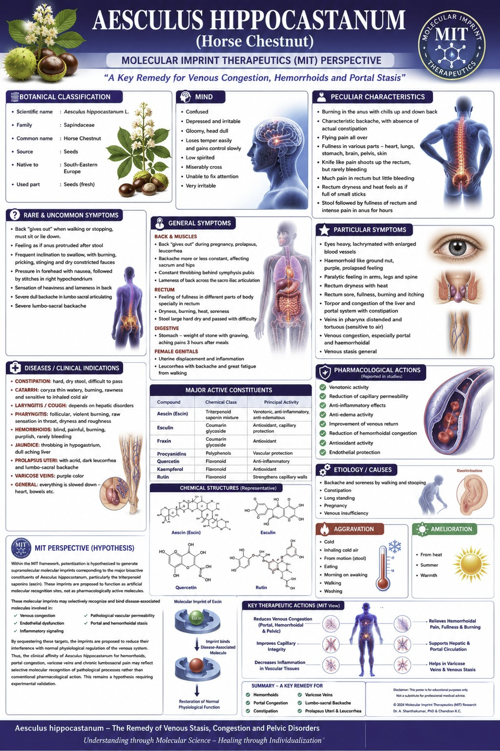 Aesculus Hippocastanum - Materia Medica in Scientific Perspective publication poster by Dr. A. Shanthakumar